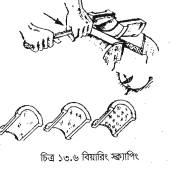 ক্র্যাপিং পদ্ধতি
