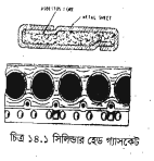 ইঞ্জিন গ্যাসকেট