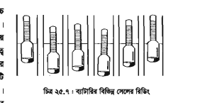 স্টোরেজ ব্যাটারি