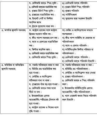 হাই প্রেসার ফুয়েল পাম্প
